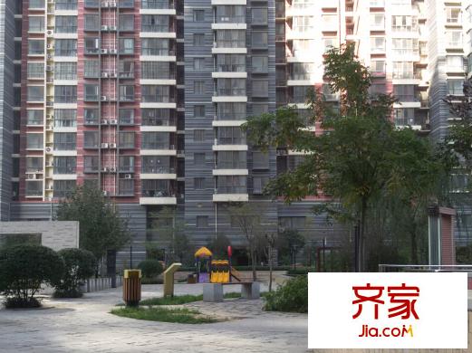 綠洲云頂