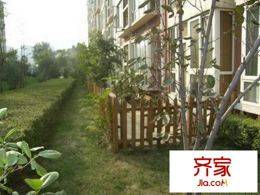 鑫苑中央花園東區(qū)外景圖