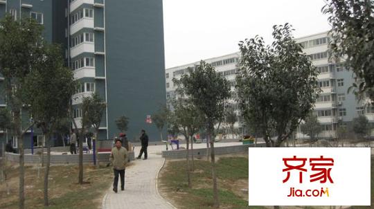 鴻基西湖春天外景圖 