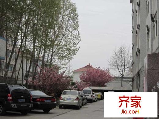 檢察院宿舍(奎文)外景圖奎文檢察院宿舍