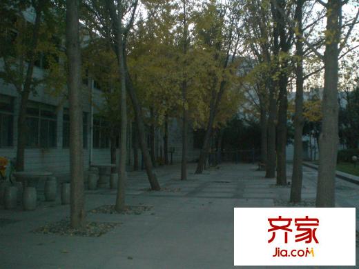 衛(wèi)生局宿舍外景圖 （2014.11.17）