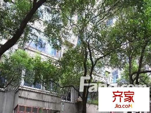 苗圃二路外景圖
