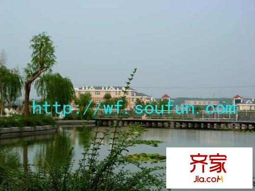 青云花園外景圖遠觀