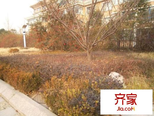 國(guó)土局宿舍(奎文)外景圖奎文國(guó)土局宿舍 （20121202）