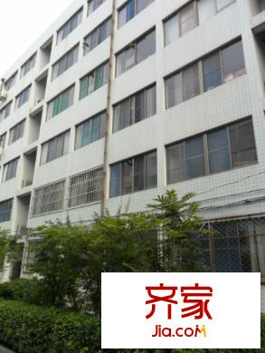 法院宿舍(奎文)外景圖奎文法院宿舍 