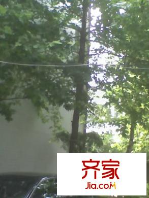 法院宿舍(奎文)外景圖 奎文法院宿舍 