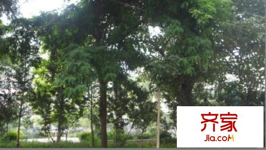 向陽小區(qū)外景圖  