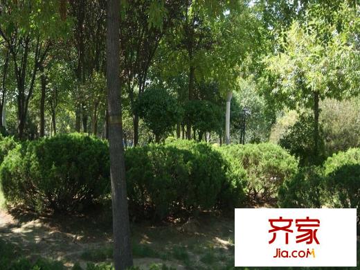 泰祥花苑外景圖（2015-9-8）