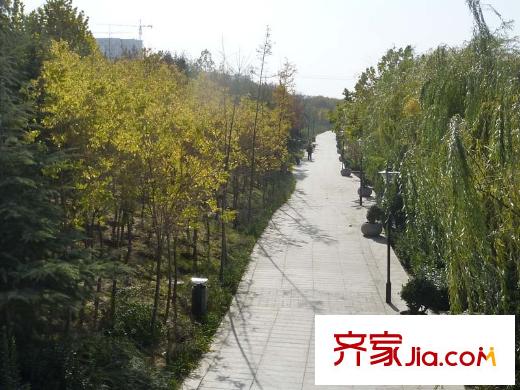 陽光御苑配套圖東100米虞河景觀帶