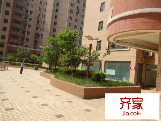 陽光外灘外景圖 