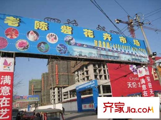 天倫水晶城配套圖周邊花卉市場(chǎng)