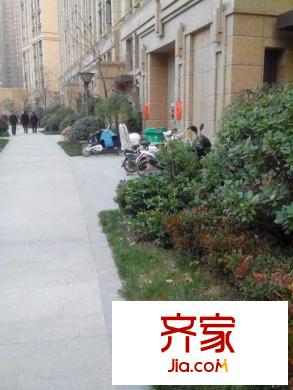 大觀國際居住區(qū)外景圖 