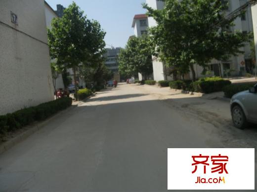 東莊小區(qū)外景圖 南區(qū)