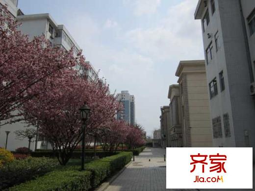 公路局宿舍(高新)外景圖高新公路局宿舍