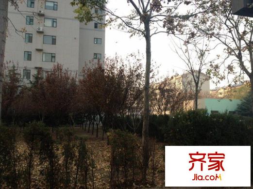 市交警支隊(duì)宿舍(上東佳樂家西側(cè))外景圖交警支隊(duì)宿舍(上東佳樂家西側(cè)) 