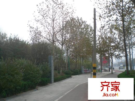 金色九州外景圖 （2014.11.24）