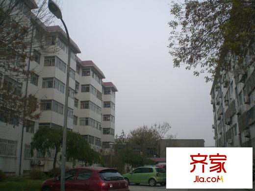 電業(yè)局宿舍(上虞河)外景圖上虞河電業(yè)局宿舍 （2014.11.25）
