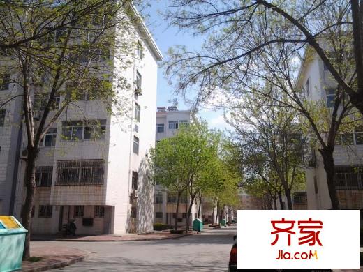 電業(yè)局九龍山小區(qū)外景圖 （20140404）