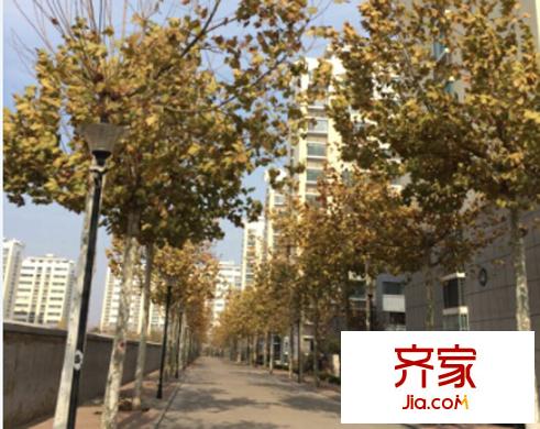舜和園外景圖（20141121）