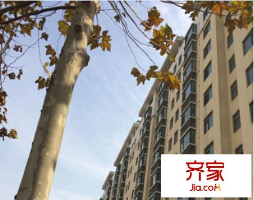 舜和園外景圖（20141121）