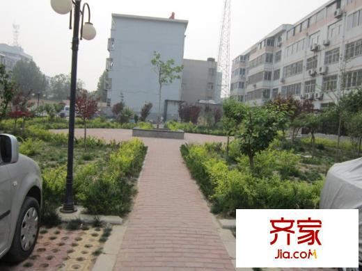 錦泰小區(qū)外景圖小區(qū)內(nèi)景