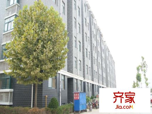 江南印象濰州外景圖（2015-9-11）