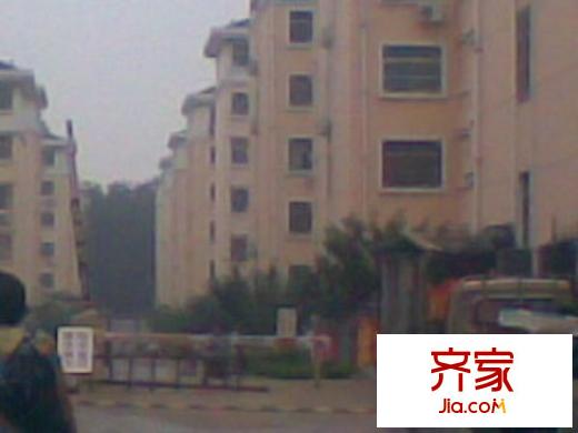 華麗世家外景圖 