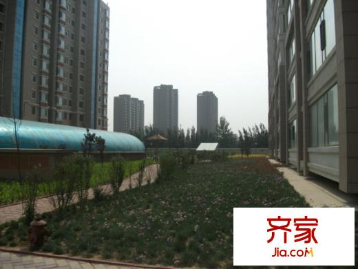 金葉櫻海園外景圖