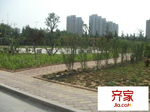 金葉櫻海園外景圖