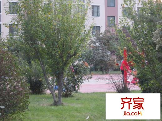 河濱花園外景圖小區(qū)內(nèi)部綠化