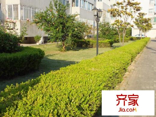 亞星小區(qū)外景圖