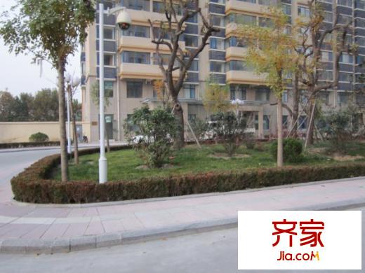 五洲佳苑外景圖小區(qū)內(nèi)景