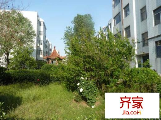 櫻園小區(qū)外景圖