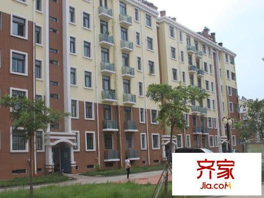 玫瑰國際外景圖高層樓體施工實(shí)景（20120613）