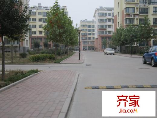 鳶都新城外景圖小區(qū)道路