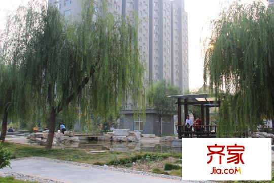 高速仁和盛庭小區(qū)內(nèi)部綠化（2015-10-23）