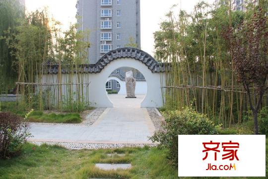 高速仁和盛庭小區(qū)內(nèi)部綠化（2015-10-23）