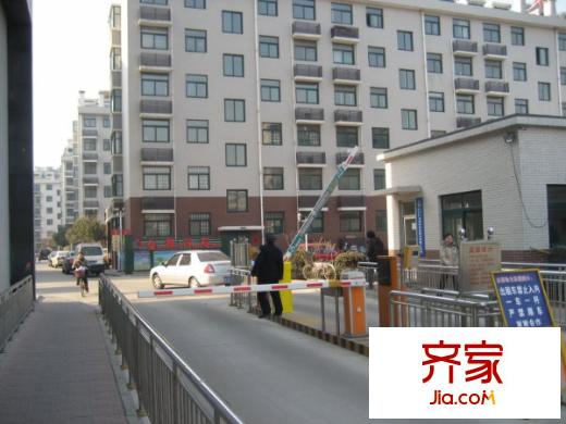 金都南苑外景圖小區(qū)內(nèi)景
