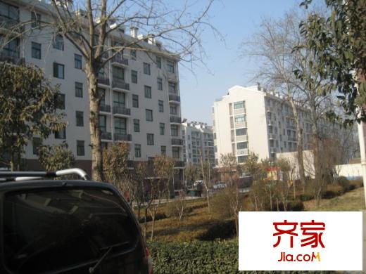 金都南苑外景圖小區(qū)內(nèi)景