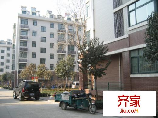 金都南苑外景圖小區(qū)內(nèi)景