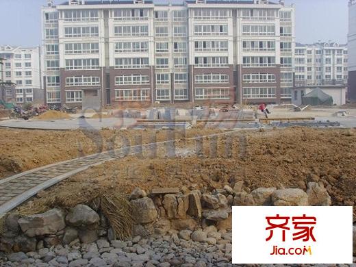 金都家園外景圖實景圖