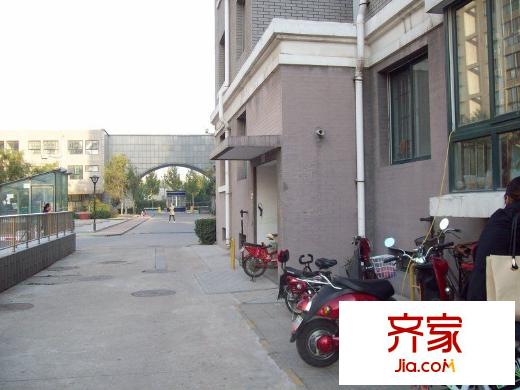 北國(guó)之春外景圖 