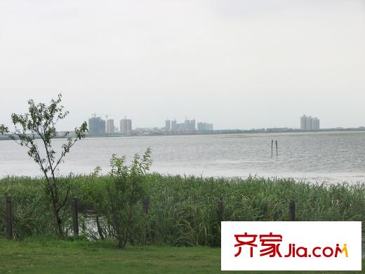 泰泓花園陽(yáng)澄湖(2011.11)