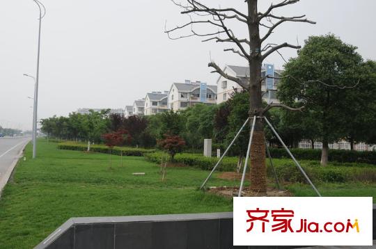 凡高公寓花園