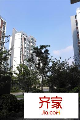 虹橋佳苑小區(qū)綠化（2015-10-09）