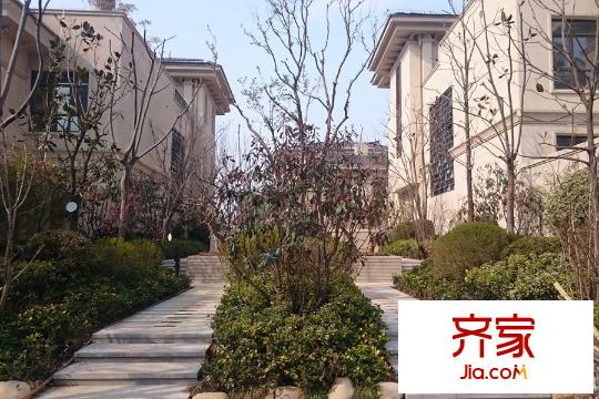 邦泰郡王府小區(qū)內(nèi)部園林（2015-4-10）