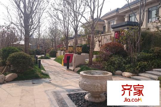 邦泰郡王府小區(qū)內(nèi)部園林（2015-4-10）