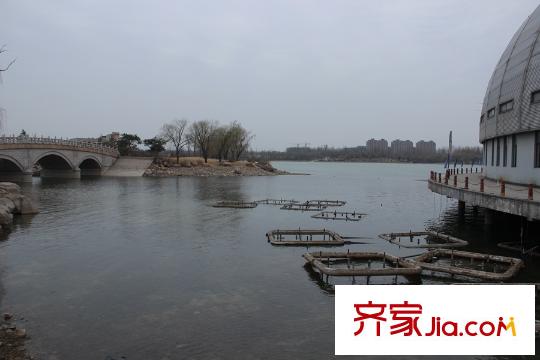 邦泰郡王府西50米鳶都湖景觀帶（2015-3-26）