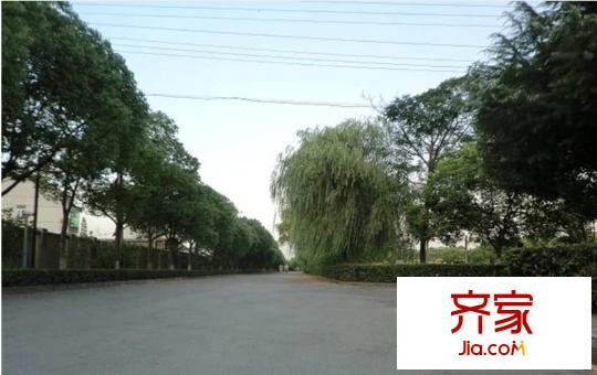 大上海小臺(tái)北外景圖 