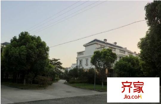 大上海小臺(tái)北外景圖 